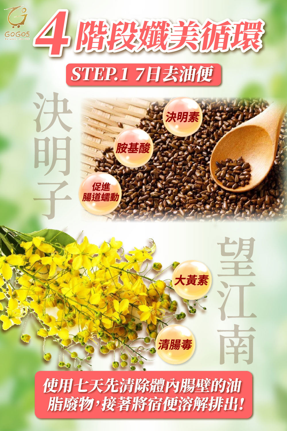 七日孅 - 玫瑰綠茶 代謝茶【4盒裝】(7包/盒)|順暢代謝 × 排毒消腫 × 養生冷泡茶 × 無糖茶包飲品